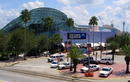 Florida Aquarium, Channelside Drive Image