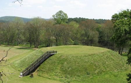 Etowah Indian Mounds Historic Site Image
