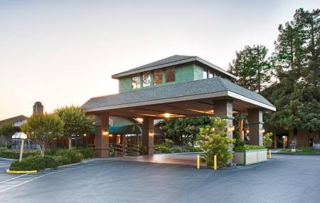 Best Western Plus Forest Park Inn Image