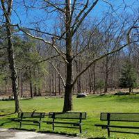 Tygart Lake State Park Image