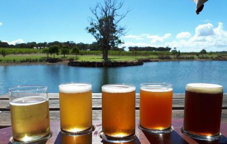 Cheeky Monkey Brewery & Cidery Image